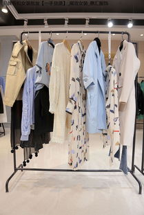 天津大碼服裝批發市場解析 機遇、挑戰與經營策略