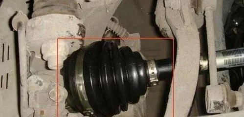 老司機(jī)忠告 這三個汽車零件越懶保養(yǎng)越好，過度呵護(hù)反成傷車元兇